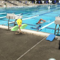 Pokemon at the school pool